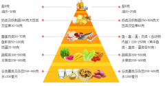兒童91看片下载入口品牌廠家講述營養在人的一生中起著至關重要的作用