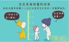 超聲波91看片破解版正確測量方法標準身高體